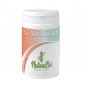Startingbio Startingbio