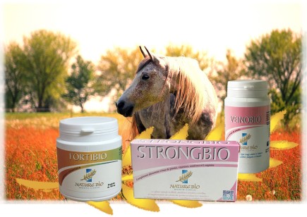Pack VIRILITE - Packs Nature Bio
