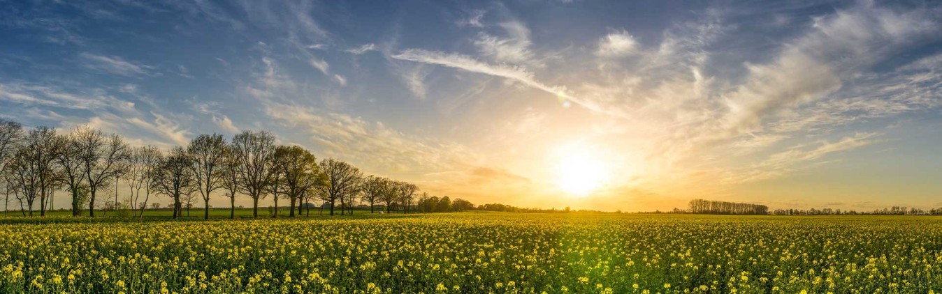 COMPLEXES NUTRITIONNELS - Compléments Alimentaires